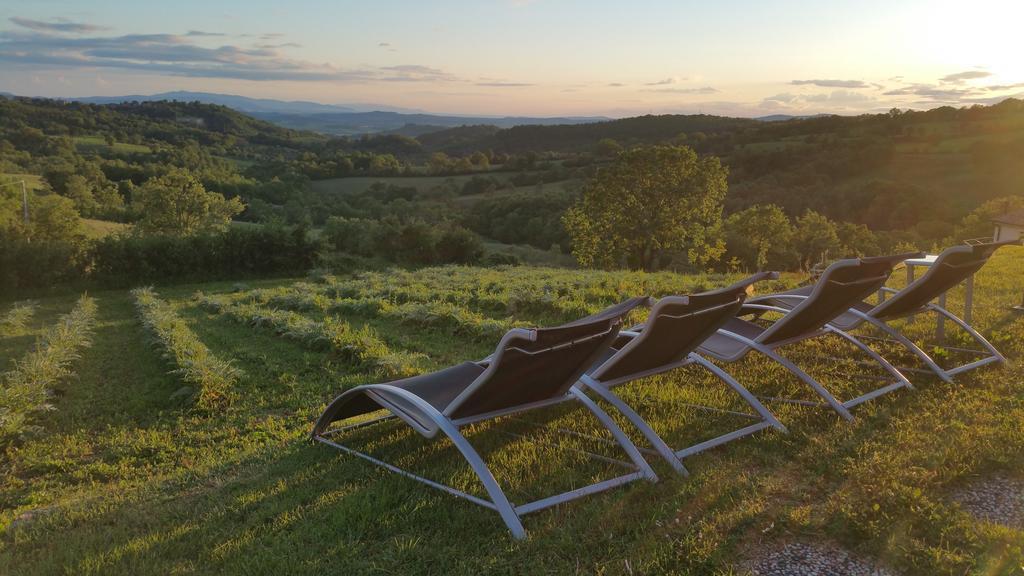 Agriturismo La Meria Semproniano Екстериор снимка